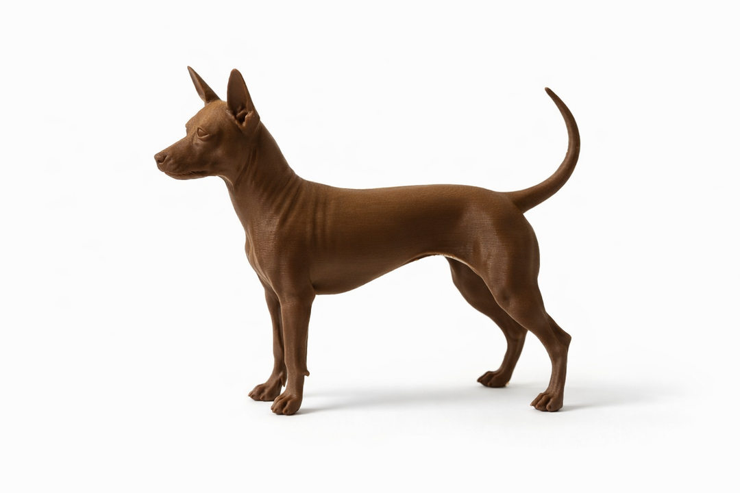 American Hairless Terrier Hondenbeeld – Decoratief Beeldje | Hunoba Creative
