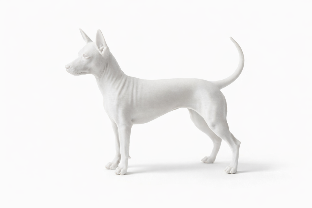 American Hairless Terrier Hondenbeeld – Decoratief Beeldje | Hunoba Creative
