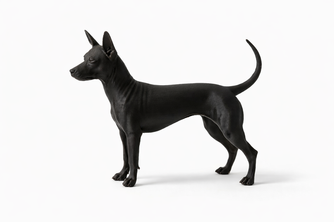 American Hairless Terrier Hondenbeeld – Decoratief Beeldje | Hunoba Creative