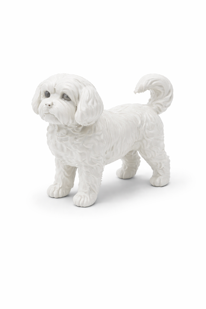 Boomer Hondenbeeld – Decoratief Beeldje | Hunoba Creative