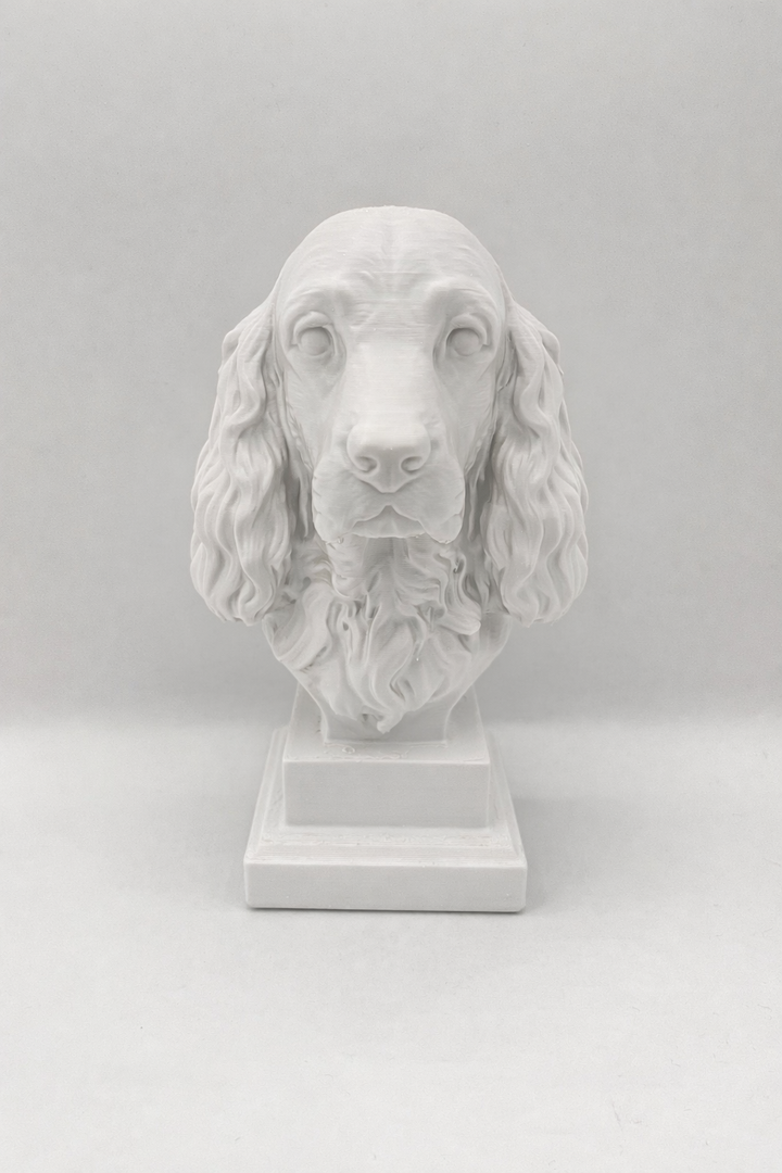 Engelse Cocker Spaniel Hondenbeeld op Sokkel – 3D Geprint – 15 cm – Wit / Zwart / Bruin