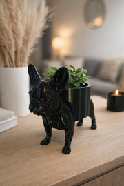 Zwarte Franse Bulldog bloempot van Hunoba Creative met groene plant op houten tafel in warme woonkamer setting