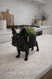 Zwarte Franse Bulldog bloempot van Hunoba Creative met vetplant op keukenblad in moderne keuken setting
