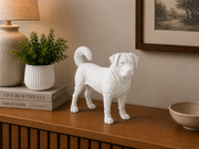 Wit Appenzeller Sennenhond beeldje voor modern interieur