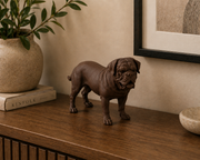 Bruin Bordeauxdog decoratiebeeld als stijlvolle interieurdecoratie