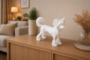 Wit Chinese Naakthond hondenbeeld voor modern interieur
