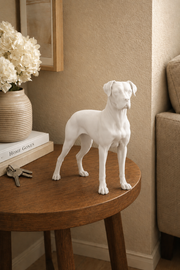 Wit Deense Dog hondenbeeld voor modern interieur
