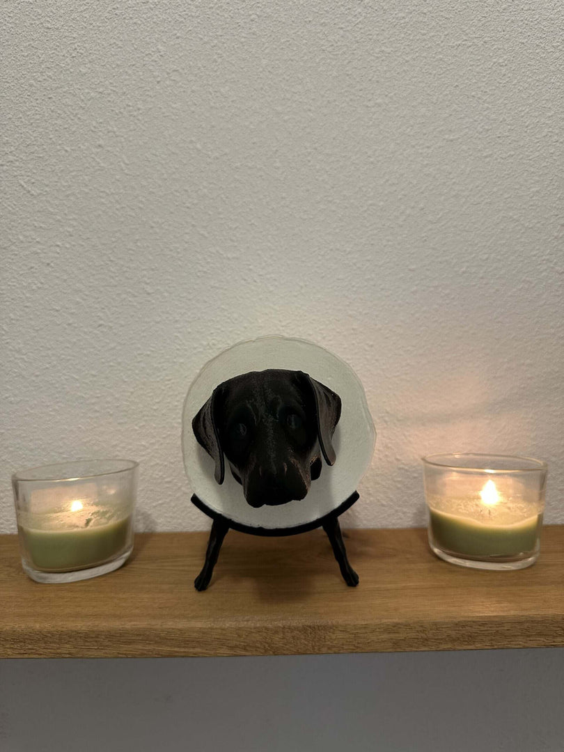 WC-Rolhouder Labrador – Honden Decoratie – PLA – Zwart/Bruin/Wit – Uniek & Speels Design