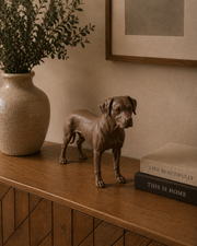 Bruin Rhodesian Ridgeback decoratiebeeld als stijlvolle interieurdecoratie