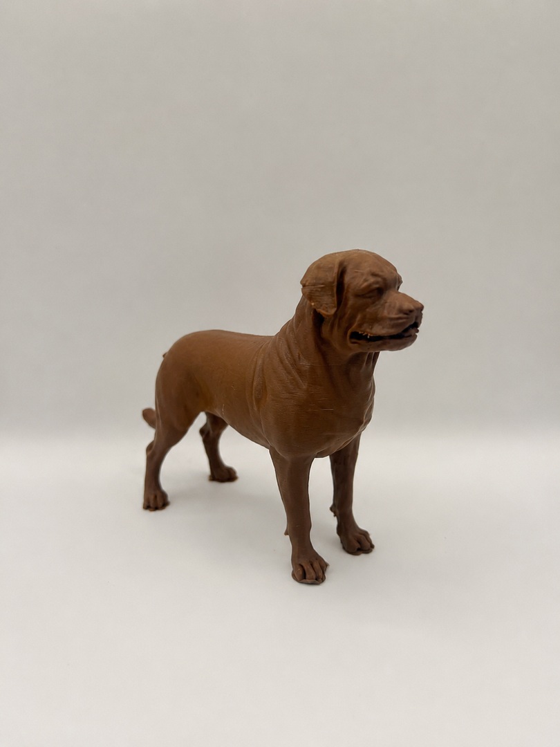 Bruin Rottweiler decoratiebeeld als stijlvolle interieurdecoratie