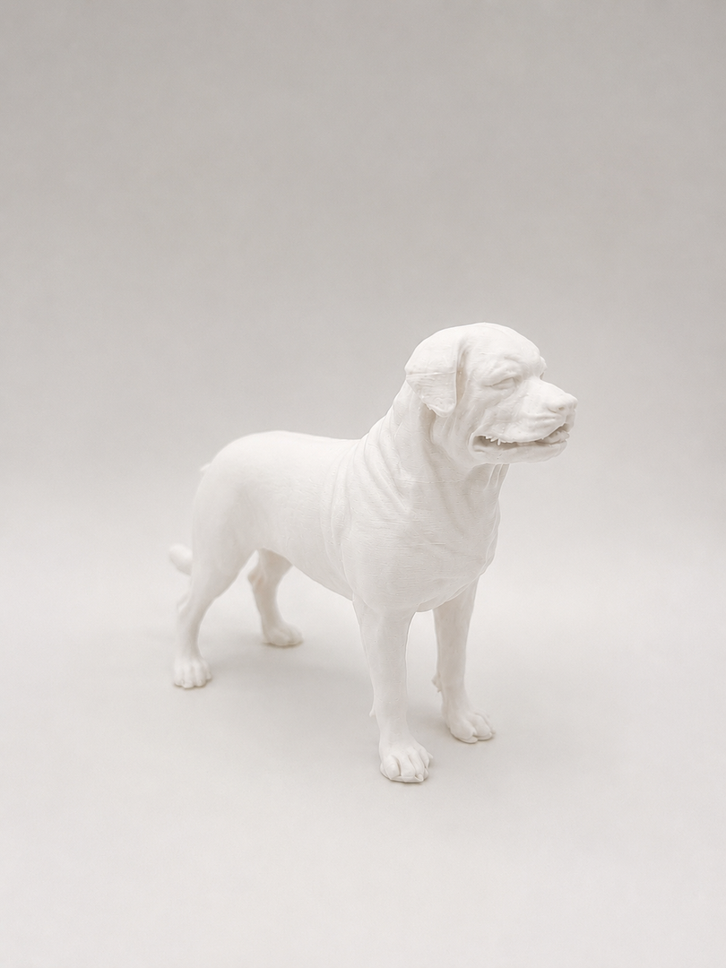 Wit Rottweiler hondenbeeld voor modern interieur