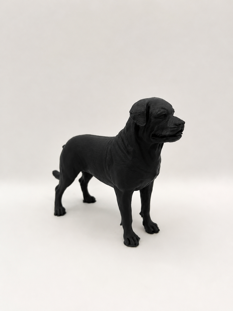 Zwart Rottweiler hondenbeeld als moderne woondecoratie