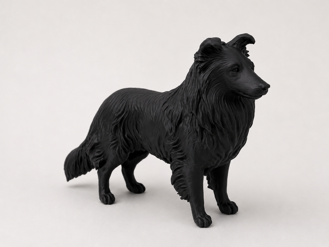 Zwart Shetland Sheepdog hondenbeeld als moderne woondecoratie