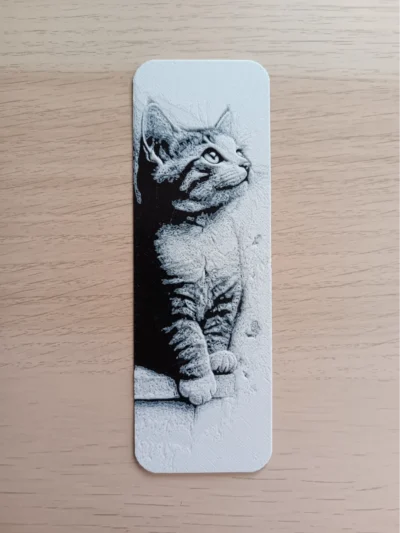 Boekenlegger kitten