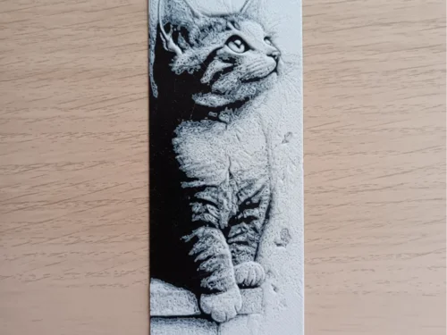 Boekenlegger kitten
